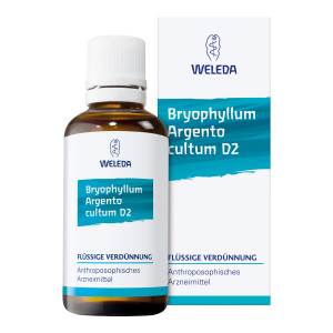 Bryophyllum Argento Cultum D 3 Dilution