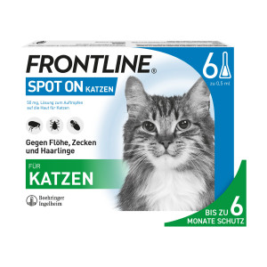 Frontline Spot on K Lösung für Katzen
