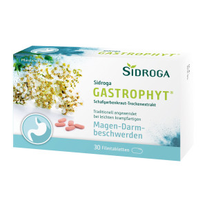 Sidroga GastroPhyt 250 mg Filmtabletten