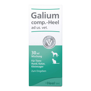 Galium comp. -Heel ad us. vet
