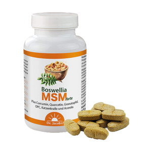 Dr. Jacob's Boswellia MSM forte Weihrauch Quercetin OPC