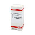 Zincum Chloratum D 6 Tabletten