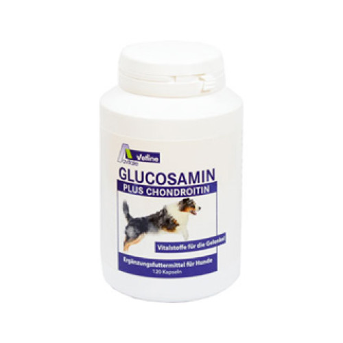 Glucosamin plus Chondroitin